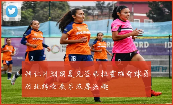 拜仁计划明夏免签弗拉霍维奇球员对此转会表示浓厚兴趣